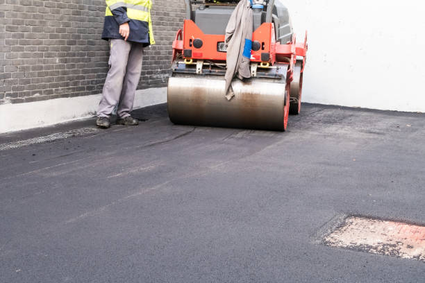 Best Driveway Snow Removal Preparation  in Auburn, WA