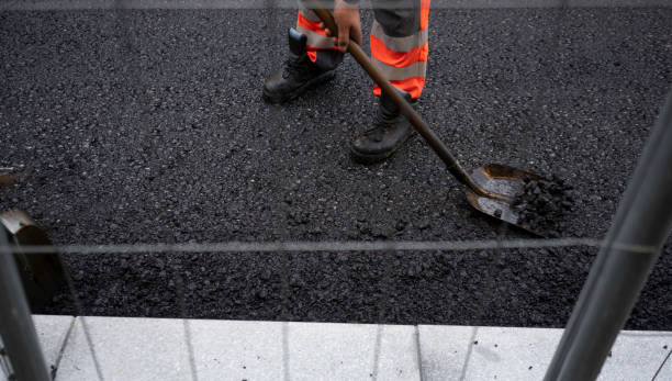 Best Driveway Grading and Leveling  in Auburn, WA